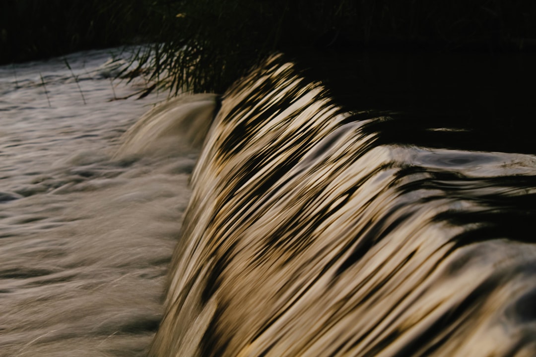 stem the flowのイメージ